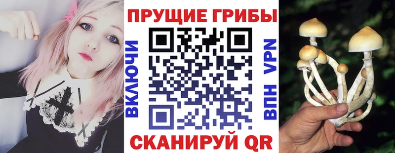 Галлюциногенные грибы прущие грибы  Калининск 